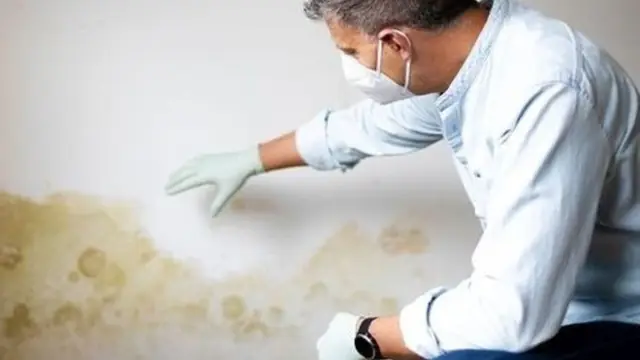 Inspector in a mask and gloves examining a yellow water stain spreading across a white wall
