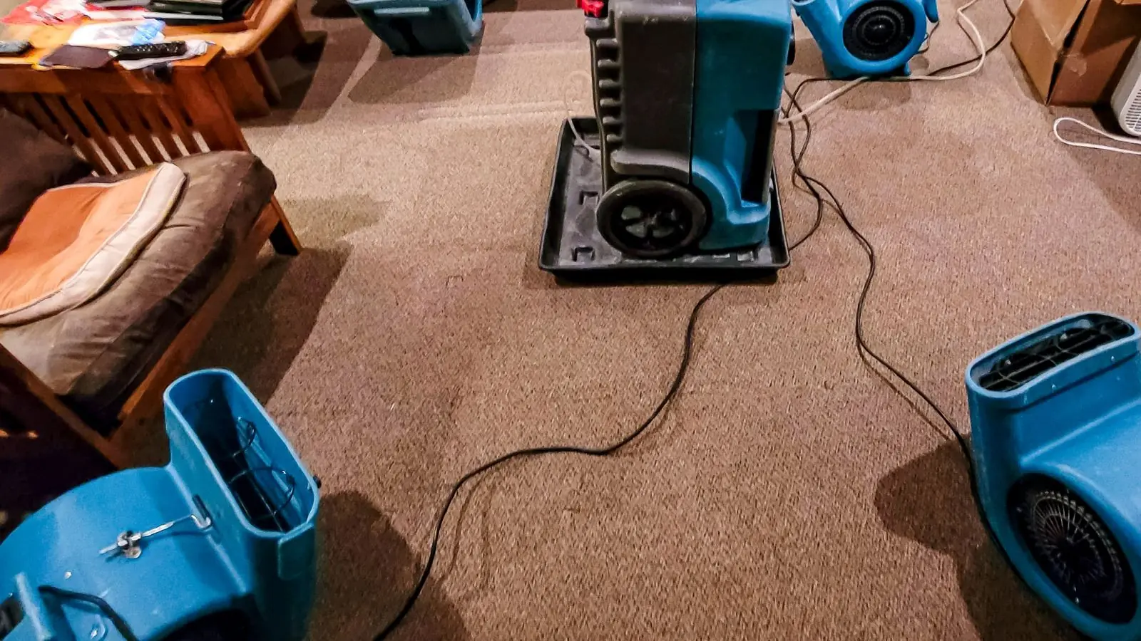 Dehumidifier and blue air movers running on a carpeted room during structural drying
