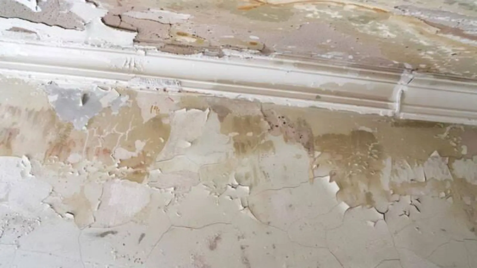 Wall with cracked, peeling paint and brown water staining above the trim